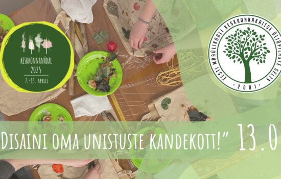Disaini oma unistuste kandekott!