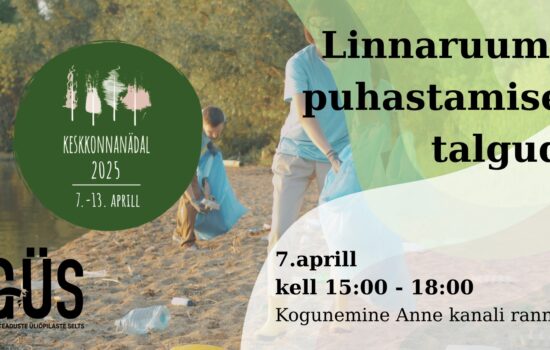 Linnaruumi puhastamise talgud