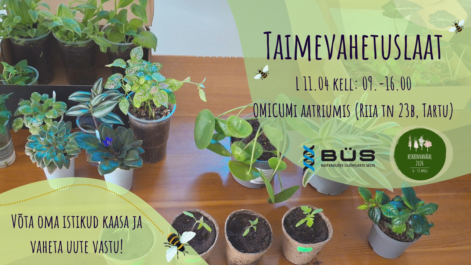 Ürituse Taimevahetuslaat pilt